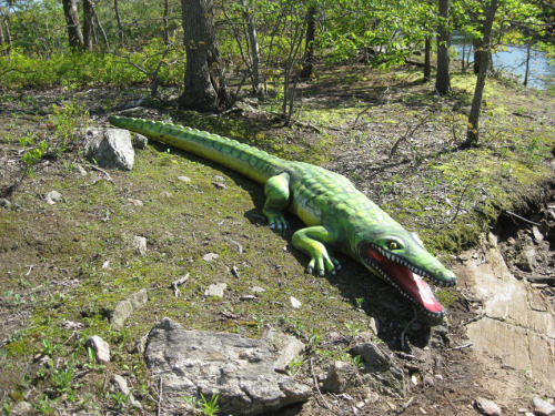 playland crocodile-alligator-3-sm.jpg